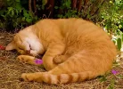 IMG_2021-09-18-12-54-19-345_2.jpgbessere farben.webp