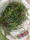 IMG_20210927_185629.webp