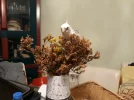 20210918_184507.webp