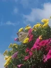 20210928_142630 (2).webp
