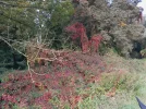 20210928_111732.webp