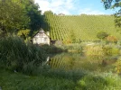 DSCN4693.webp