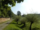 DSCN4723.webp