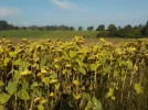 DSCN4718.webp