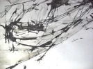 IlluInsekt (3).webp