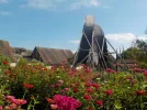 DSCN4685.webp