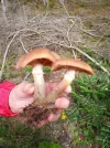 20211002_130540 (2).webp