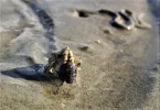 IMG-20211002-WA0018.webp