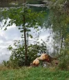 IMG-20211003-WA0001.webp