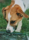 Scan_20211004.webp