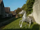 DSCN4715.webp