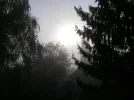 PICT0004.webp