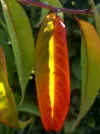 IMG_20211008_154816.webp