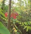 IMG_20211010_143531.webp