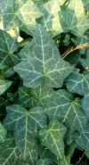 +01.webp