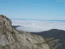 DSCN4768.webp