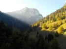 DSCN4782.webp