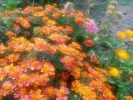 20210930_114429 (2).webp