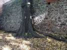 PANO_20211011_151003.webp