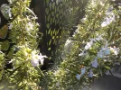 DSCN4794.webp