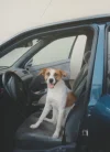 Scan_20211018 (2).webp