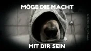 7 hund macht.webp