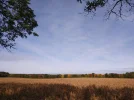 IMG_20211018_134543.webp