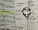 zweitbestes letztes.webp