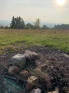 Feuerstelle Beifuss.webp