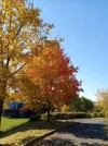 20211020_131807 (2).webp
