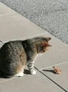 IMG-20211020-WA0011 (2).webp
