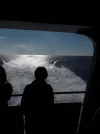 IMG-20190210-WA0001.webp