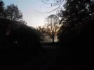 DSCN4809.webp