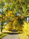 IMG_20211024_124556.webp