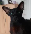20210819_183102.webp