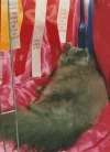 Scan_20211025.webp