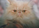 Scan_20211025 (2).webp