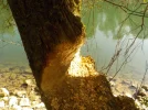 DSCN4792.webp
