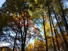 IMG_20211028_173717.webp