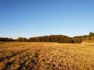 IMG_20211028_173919.webp
