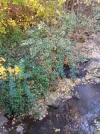 20211028_155138 (2).webp
