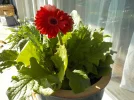 DSCN4819.webp