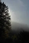 P1050300.webp