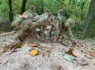 kunstwerk wurzel.webp