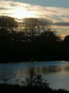 IMG-20211102-WA0013.webp