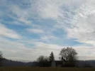 DSCN4478.webp