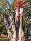 IMG_20211029_142548.webp