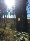 IMG-20211106-WA0028.webp