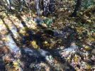 IMG-20211106-WA0025.webp