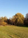 20211107_142758 (2).webp